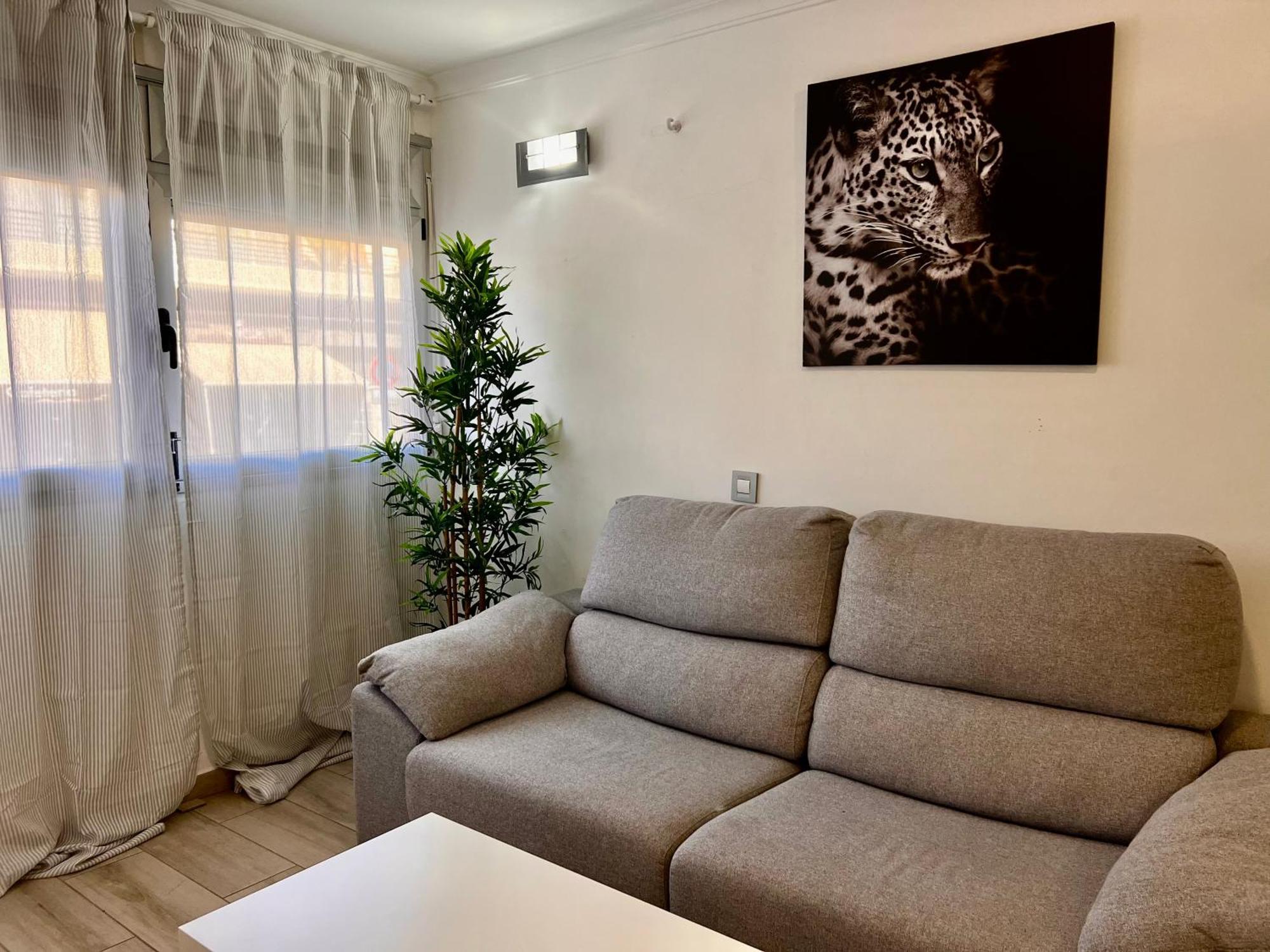 Cozy Home El Medano المظهر الخارجي الصورة